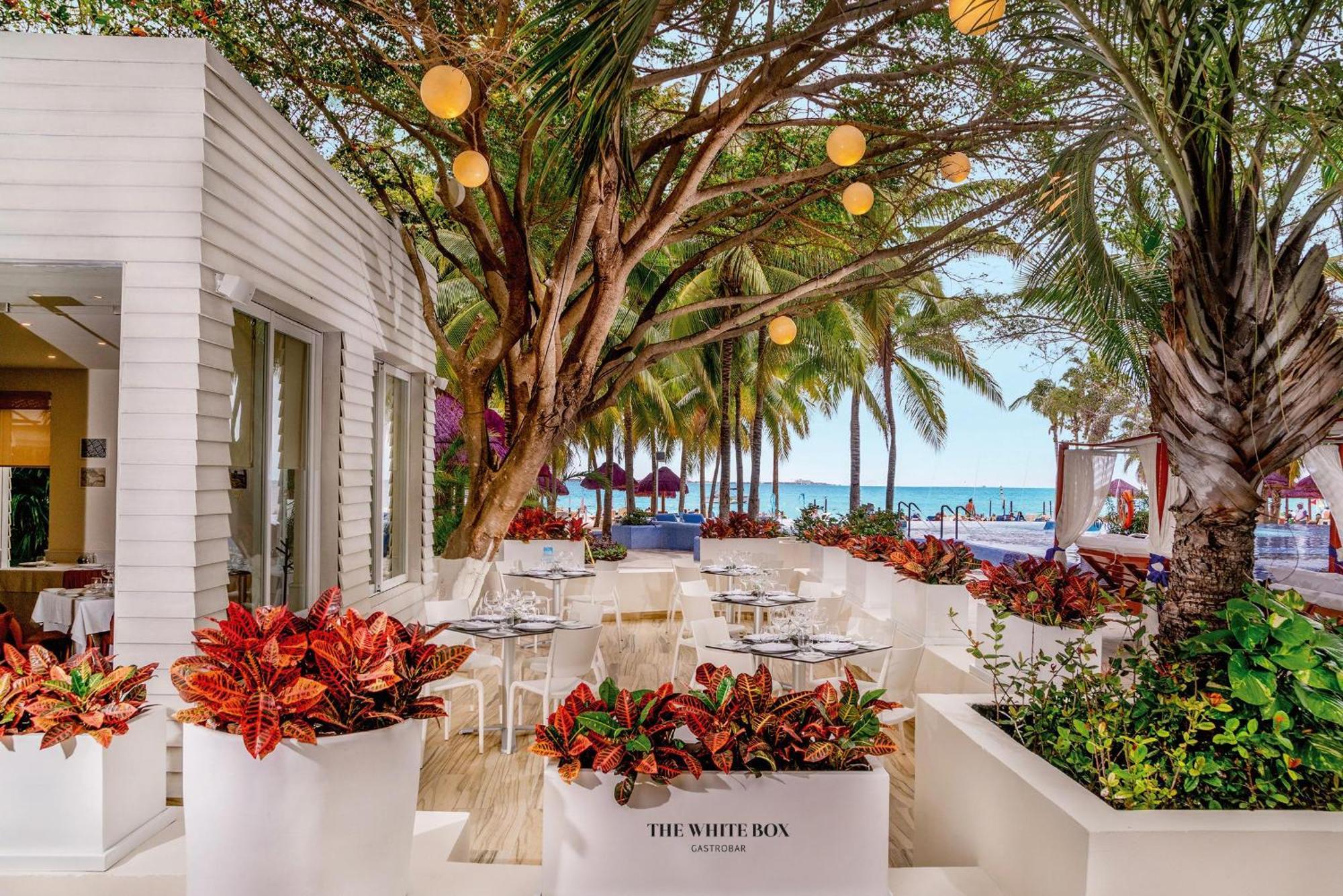 The Sens Cancun By Oasis (Adults Only) Exterior foto